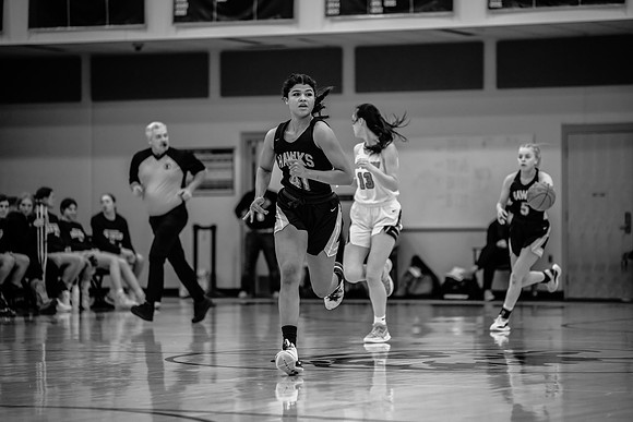 2022.01.27 Hermantown GBB vs. Superior IMAGE (78)