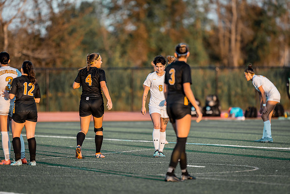 WSOC vs Gustavus -1-95