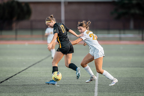 WSOC vs Gustavus -1-110