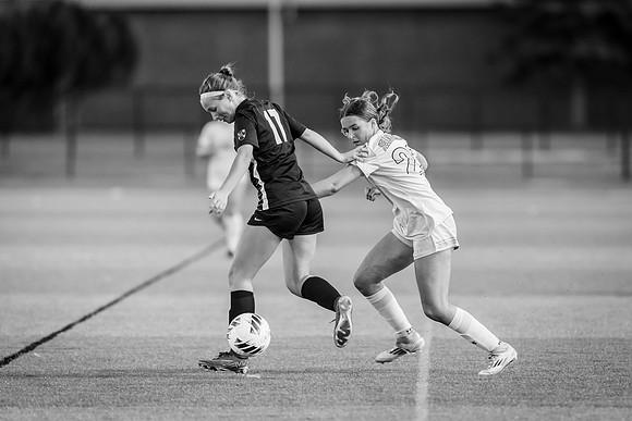 WSOC vs Gustavus -1-111