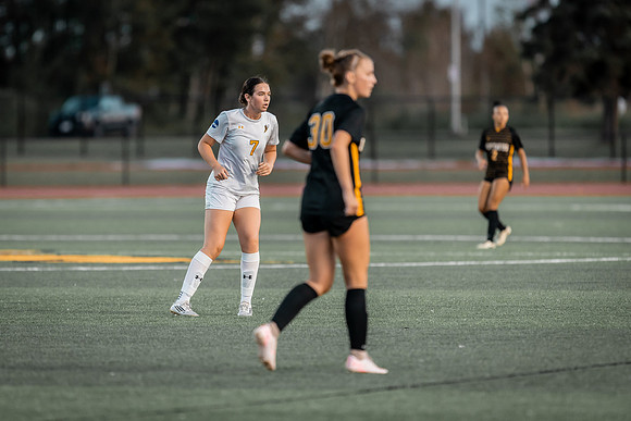 WSOC vs Gustavus -1-105