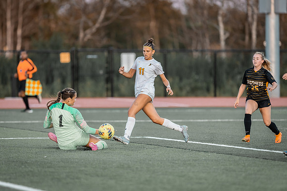WSOC vs Gustavus -1-102