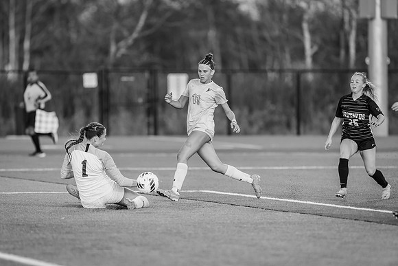 WSOC vs Gustavus -1-103