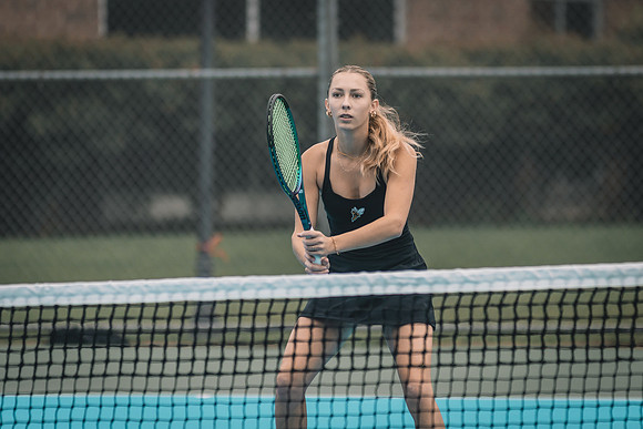 wten vs umd-1-53