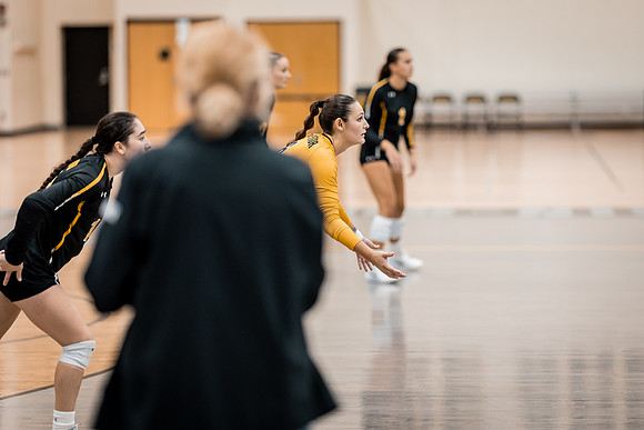 UWS VB vs CSS-1-213