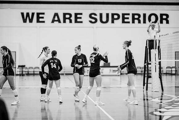 UWS VB vs CSS-1-217