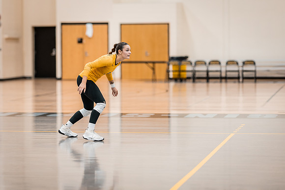 UWS VB vs CSS-1-223
