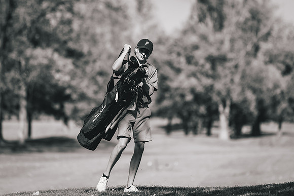 GOLF at UMAC D2-100