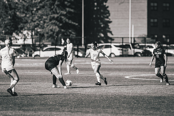 WSOC vs Crown_-125