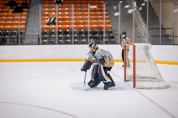 VB and WHKY -19