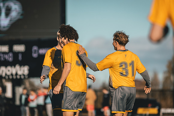 MSOC vs MLC