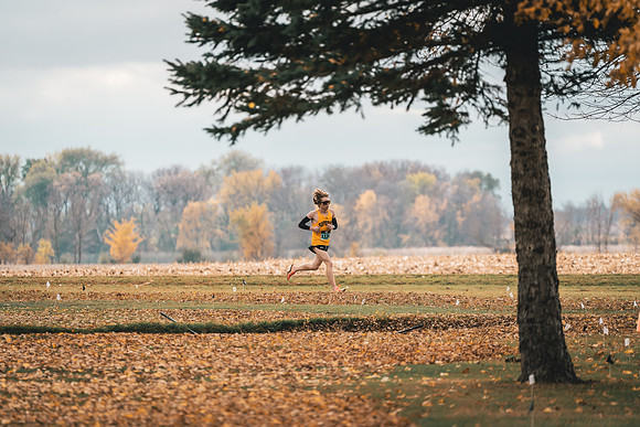 XC at UMAC Champ -80