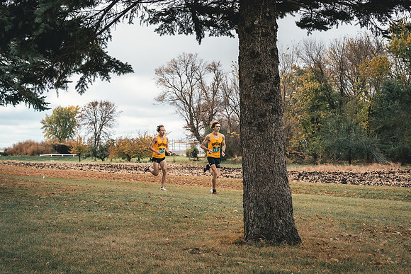 XC at UMAC Champ -82