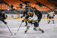 CMHKY vs UWL 2-10