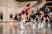 UWS VB vs CROWN-8