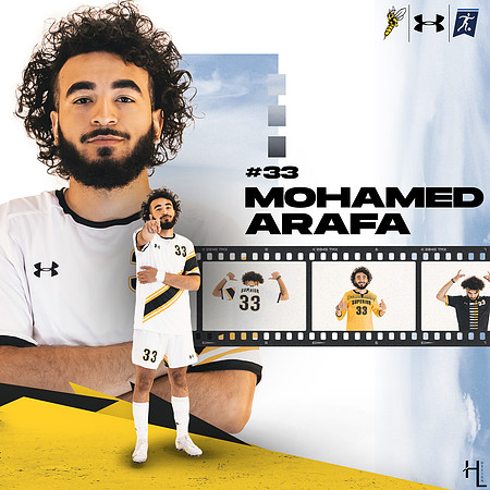 Mohamed Arafa