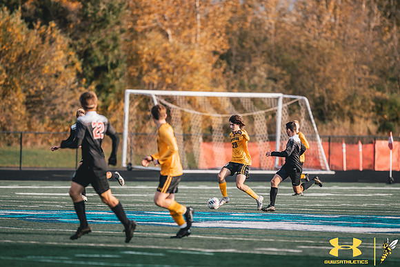 MSOC vs. MLC WM81