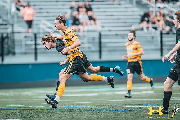 MSOC vs LSC31