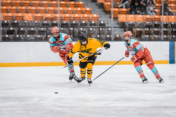 UWS WHKY vs CSB-3