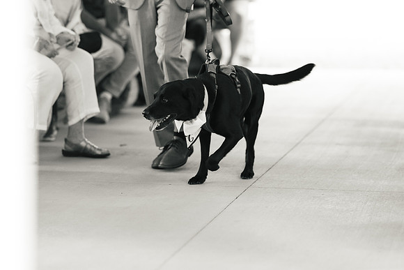 Maggie & Nick Wedding 1st Cut 111