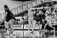 UWS WBB vs Carleton-18
