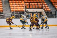 UWS WHKY vs Concordia -17