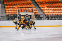 UWS WHKY vs Concordia -16