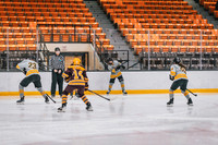 UWS WHKY vs Concordia -19