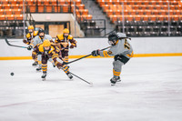 UWS WHKY vs Concordia -3