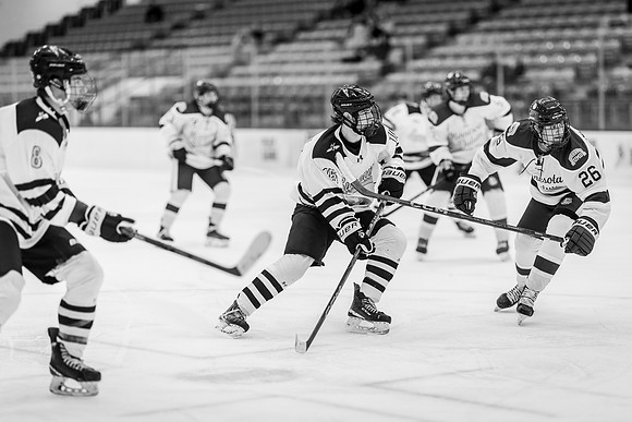 CMHKY vs UMD -141
