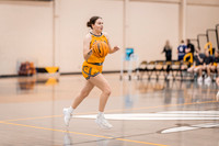 wbb vs crown-9