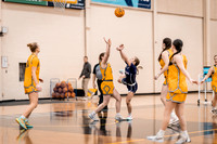 wbb vs crown-16