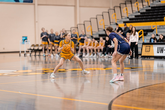 wbb vs crown-5