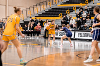 wbb vs crown-3