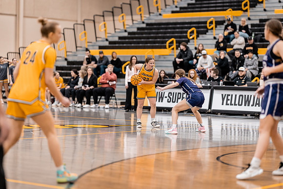 wbb vs crown-3