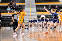wbb vs crown-13