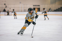 UWS WHKY vs UWSP-15