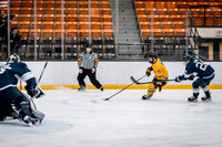 UWS MHKY vs Stout -10