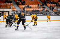 UWS WHKY vs UWSP-4