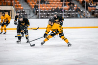 UWS WHKY vs UWSP-5