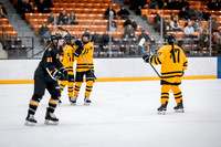 UWS WHKY vs UWSP-15