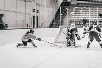 UWS WHKY vs Beloit 0221-20