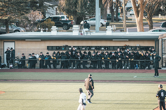Baseball vs BLC-223