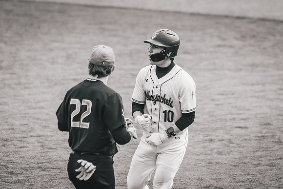 Baseball vs BLC-295