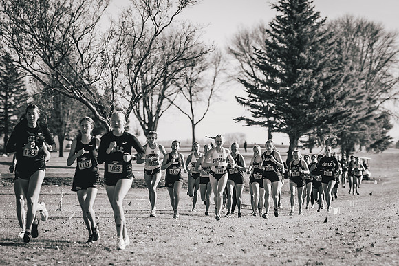 UWS XC CHAMP-1-81