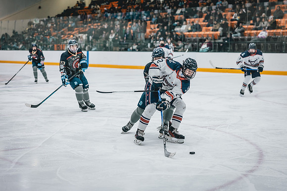 Hibbing vs Superior Hockey -1-117