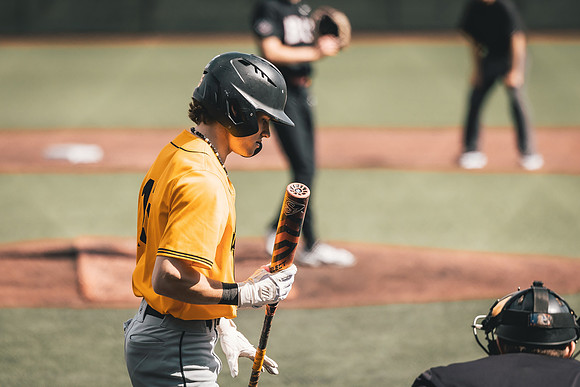 BSB vs BLC and UMM-25
