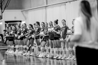 VB vs CSS-6