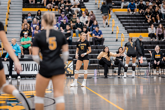 VB vs UNW-81