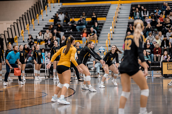 VB vs UMM-3